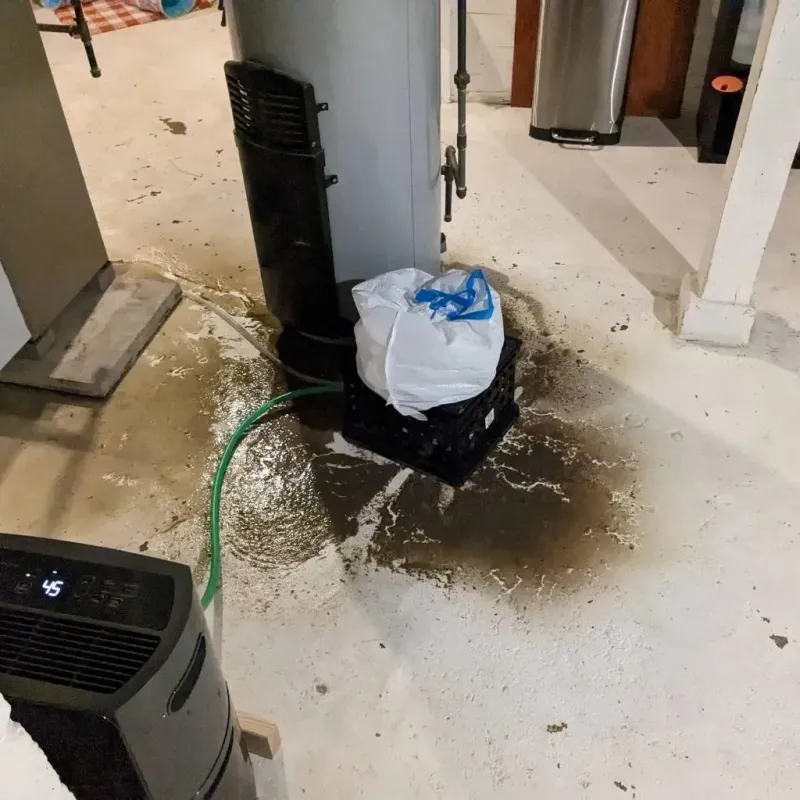 Sewage Backup Cleanup Service in Gerald, MO